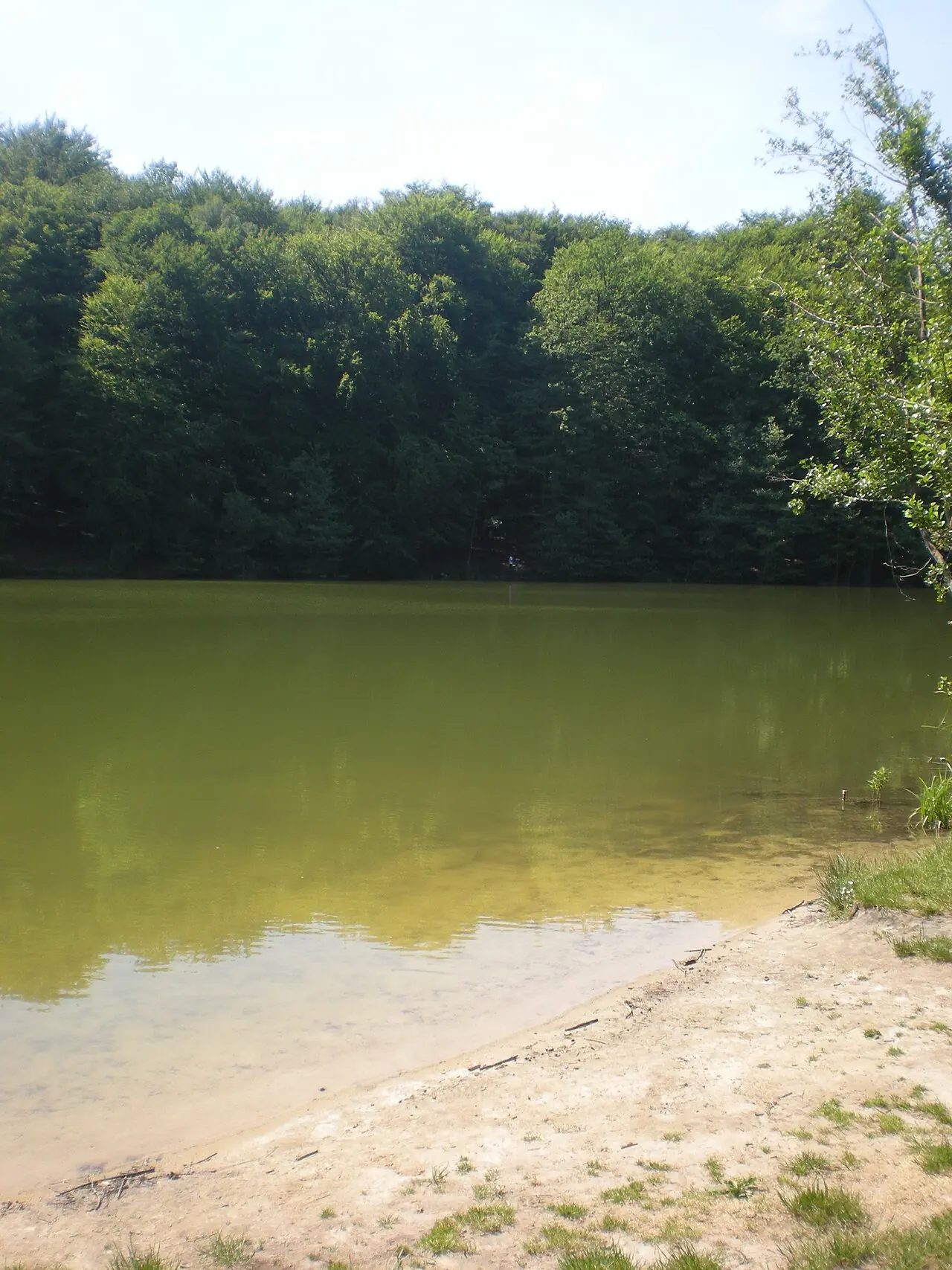 Forêt de Hez-Froidmont dans l’Oise, cadre nature pour un séminaire de conduite du changement