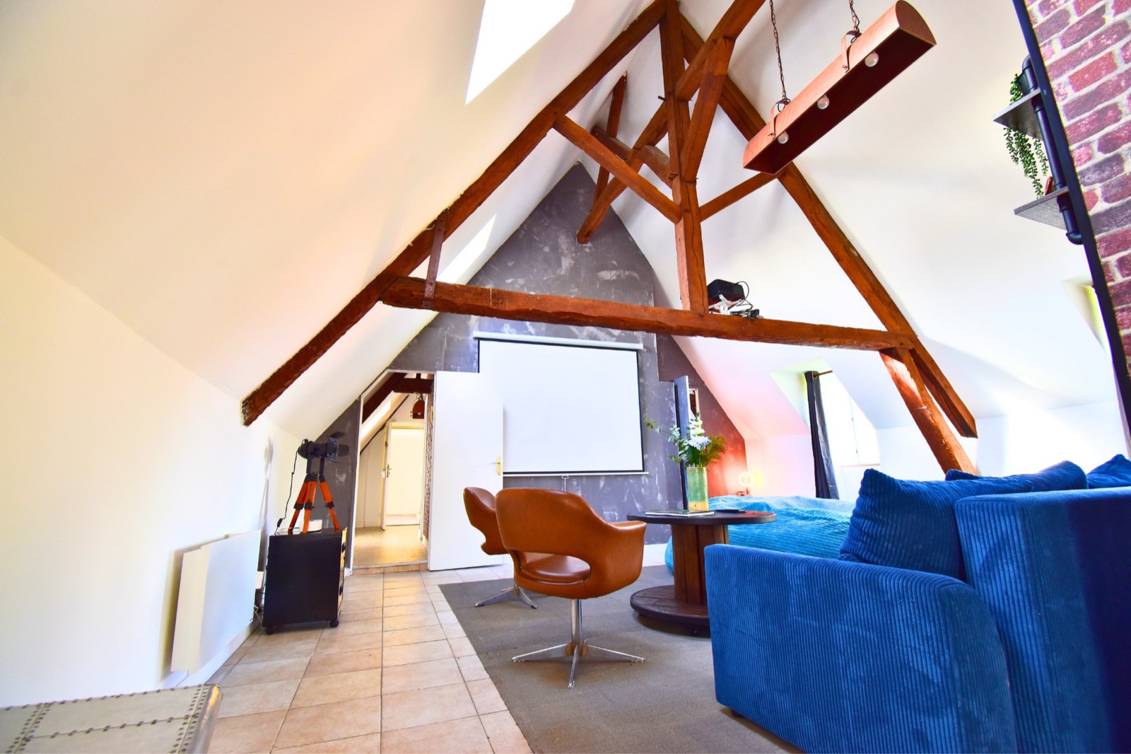 Le Loft des Charpentiers du Roi — coin télé sous charpente cathédrale