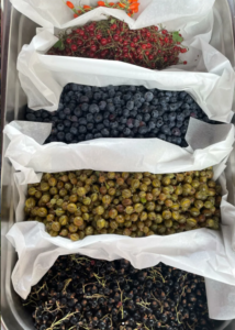 Goji de Picardie : une expérience gourmande et locale à 2 minutes du Château de Ravenel